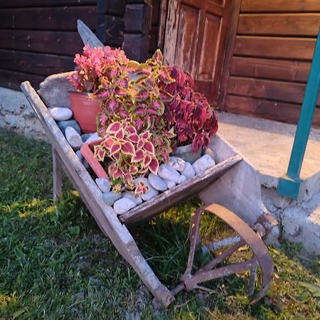 Bungalovi Vukovic Mojkovac Bagian luar foto